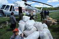 В Туве огородникам из подтопленных районов помогут семенами