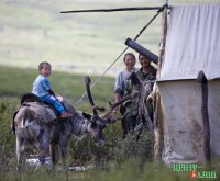 Оленеводов Тоджи поддержат инвесторы