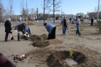 Энергетики Тувы намерены заложить Аллею энергетиков