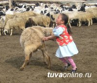 Дети поднебесья. Командировка в Монгун-Тайгу