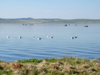 «Тихий» сезон на озере Чагытай (Тува)