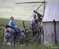 Глава Тувы вооружил оленеводов