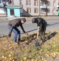 Кызыл прирос зелеными насаждениями