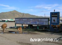 В животноводческой Туве принята Концепция развития сельских территорий