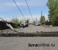 В Туве во время штормовых ветров деревья обрывали провода