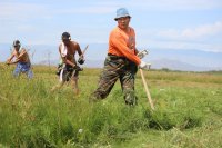 В Улуг-Хемском районе прошел конкурс косарей