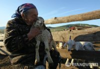 В Туве организованы туры выходного дня на чабанские стоянки