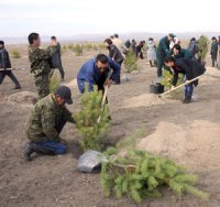 В Туве начался месячник по благоустройству и озеленению населенных пунктов