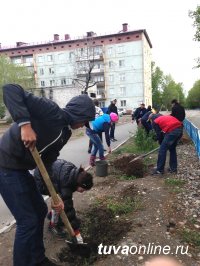 7000 саженцев по всей Туве высажено к 17 мая