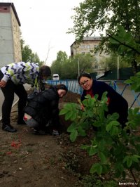 Сегодня на Кызылском Арбате будут чествовать победителей конкурса "Кызыл - территория чистоты и порядка"