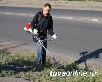 Сегодня в Кызыле начинается месячник по благоустройству