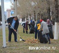 На северном въезде в Кызыл на субботнике собран трактор мусора