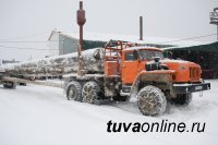 Минтопэнерго Тувы намерено освоить производство пеллет – топлива из отходов деревопереработки