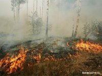 За сутки в Туве удалось ликвидировать один крупный пожар