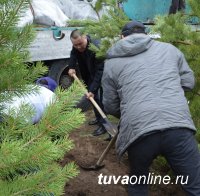 К 70-летию Победы главная площадь памяти в Туве пополнится 70 новыми деревьями