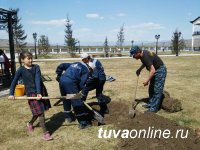 Ключевая достопримечательность Тувы – парк «Центр Азии» – пополнился новыми соснами