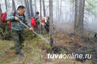 Глава Тувы призвал земляков быть осторожными в лесу