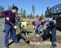 В Кызыле нынешней весной посажено почти 500 деревьев