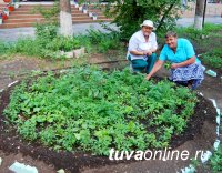 25 заявок уже подано на городской конкурс «Кызыл – территория чистоты и порядка»