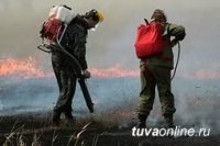 В Туве за сутки ликвидировано 2 лесных пожара, локализовано 6