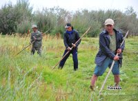 В Туве несмотря на засуху в разгаре - заготовка кормов