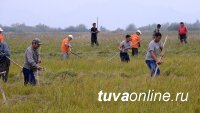 В Туве заготавливать корма на зимовку будут всем миром. Пример подают члены правительства во главе с Шолбаном Кара-оолом