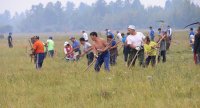 В Туве заготавливать корма на зимовку будут всем миром. Пример подают члены правительства во главе с Шолбаном Кара-оолом