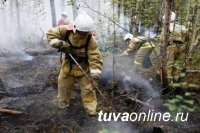 В Туве дождь помог ликвидировать все лесные пожары