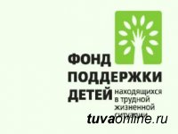 Инновационные социальные программы Тувы удостоены грантов Фонда поддержки детей, находящихся в трудной жизненной ситуации