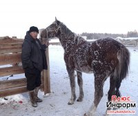 Геннадий Монгуш. Борец, табунщик и Медведь