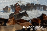 Объявлен конкурс  профессиональной и любительской фотографии  «Моя Россия»