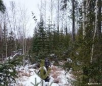 Пропавшие в тувинской тайге охотники и сборщики кедровых орехов нашлись