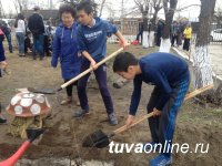 К 100-летию школы № 1 города Кызыла ее двор прирастет новыми  деревьями и кустарниками – подарками от школьников нынешних и прошлых лет