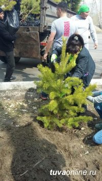 В Национальном парке Тувы накануне открытия 1 мая проведена акарицидная обработка и проводится субботник