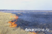 Внимание: сельхозпалы губительно действуют на плодородие почв