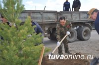 Глава Тувы помог с озеленением новостроек в поселке Каа-Хем