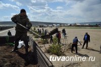 Глава Тувы помог с озеленением новостроек в поселке Каа-Хем