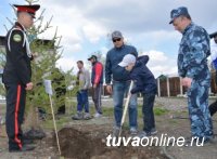 Полиция Тувы присоединилась к Всероссийской акции «Лес Победы»