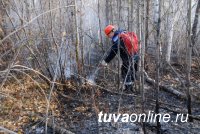 В Туве локализован один действующий пожар