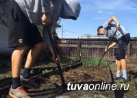 "Добрые сердца Тувы" помогли бабушке убраться в огороде