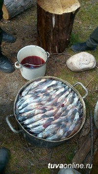 Пресечен незаконный "туризм" в пограничной зоне Тувы