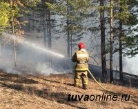 В Туве действуют два лесных пожара