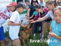 В детских лагерях отдыха Тувы Году гостеприимства и Году кино посвящены профильные смены