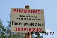 В Туве с 30 июня по 5 июля прогнозируется высокая пожароопасность