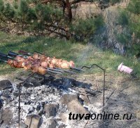 В Дзун-Хемчикском районе Тувы молодые люди оштрафованы за разведение костра в лесу для приготовления шашлыков