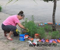 На конкурс «Вместе!» по благоустройству дворов и скверов Кызыла поступила первая заявка