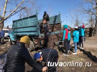 Дружная команда Почетных граждан Кызыла, депутатов, молодежи провела субботник и посадку деревьев на Молодежном сквере