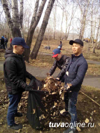 Дружная команда Почетных граждан Кызыла, депутатов, молодежи провела субботник и посадку деревьев на Молодежном сквере