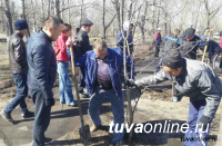 В Туве в рамках месячника планируют посадить более 2 тысяч саженцев деревьев