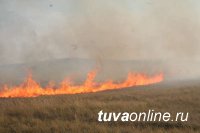 В Дзун-Хемчикском районе участковый уполномоченный полиции установил виновника степного пожара